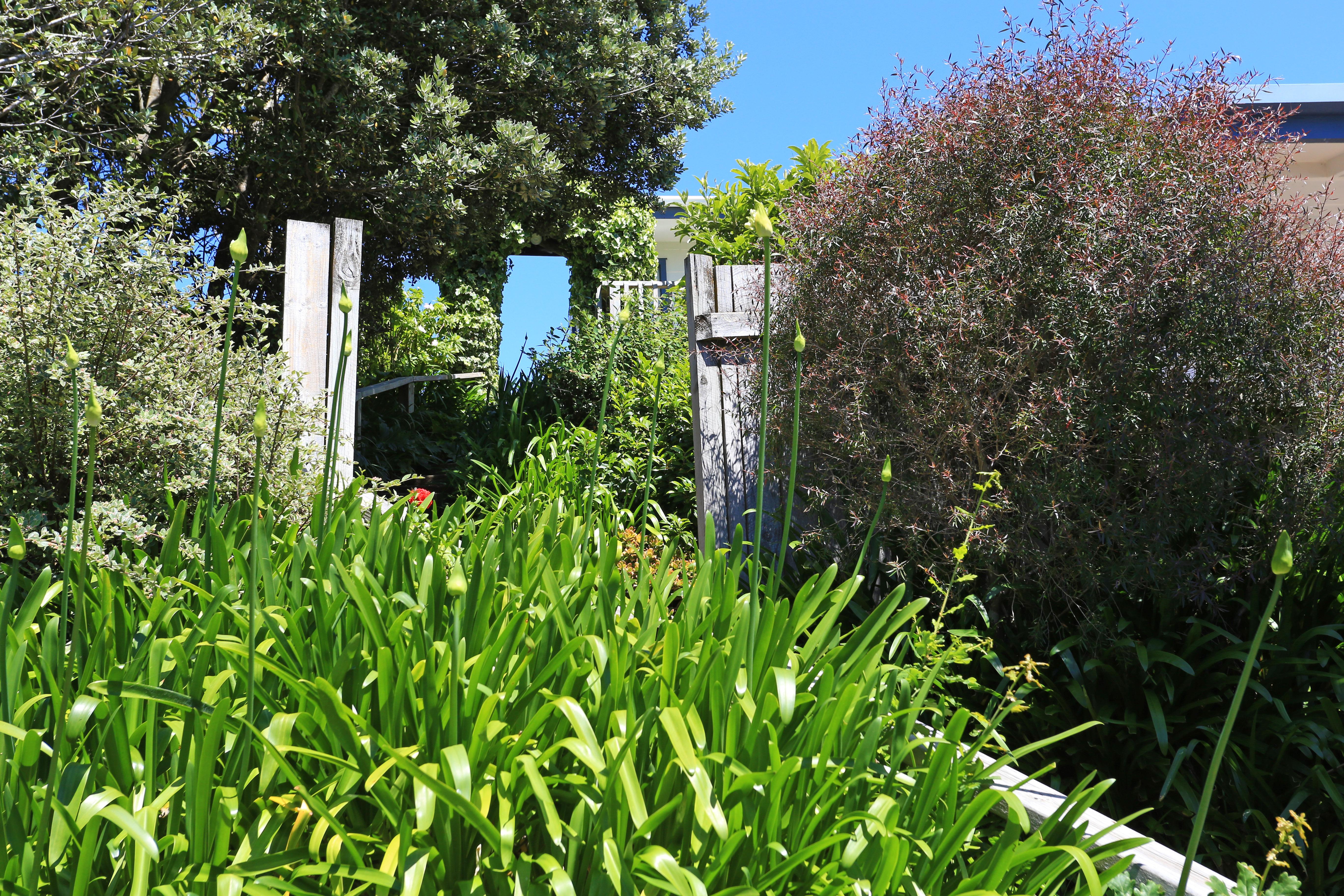 Waiheke Island Motel Ostend Zewnętrze zdjęcie